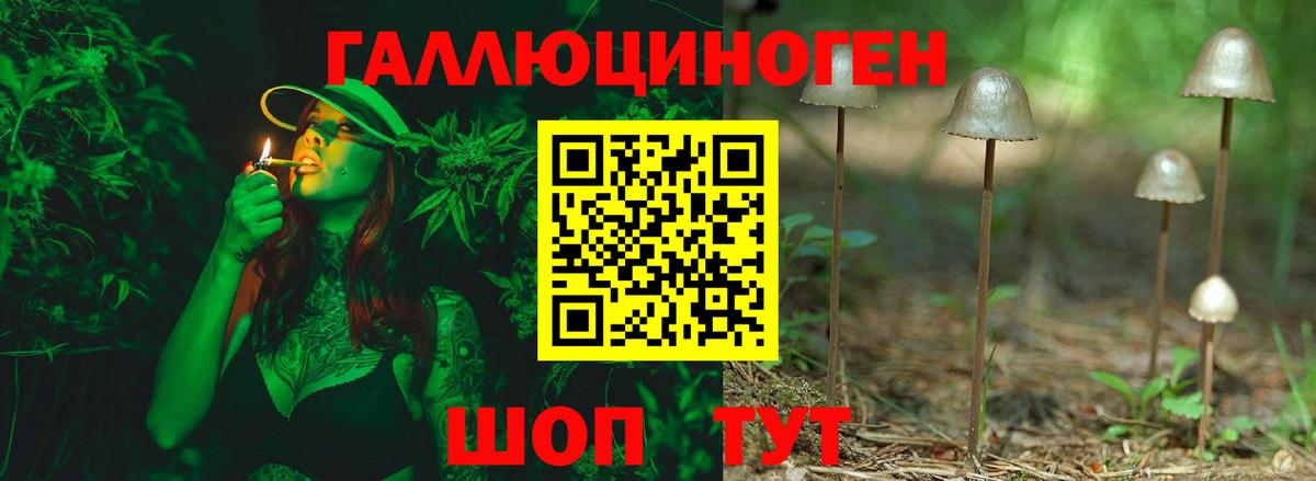 Псилоцибиновые грибы Cubensis  Вход с VPN  наркотики  Псилоцибиновые грибы Psilocybe  Конаково 